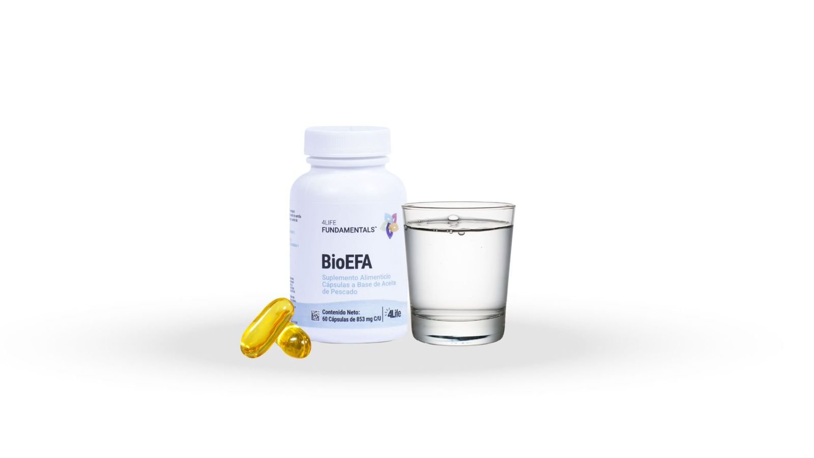 BioEFA